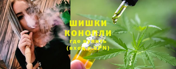 гидра Коряжма