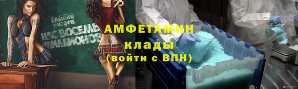 шишки Козельск