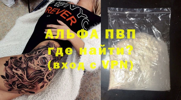 гидра Коряжма