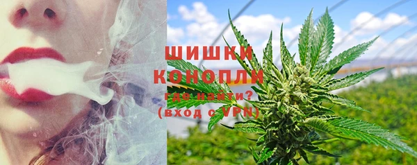 шишки Козельск
