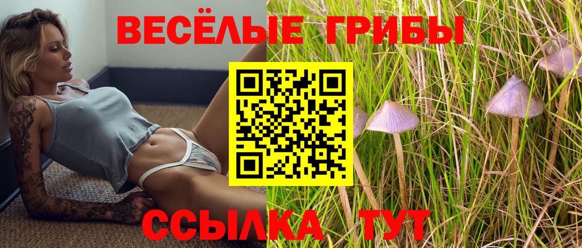 Галлюциногенные грибы MAGIC MUSHROOMS  Вход с VPN  Курчатов  Галлюциногенные грибы MAGIC MUSHROOMS 